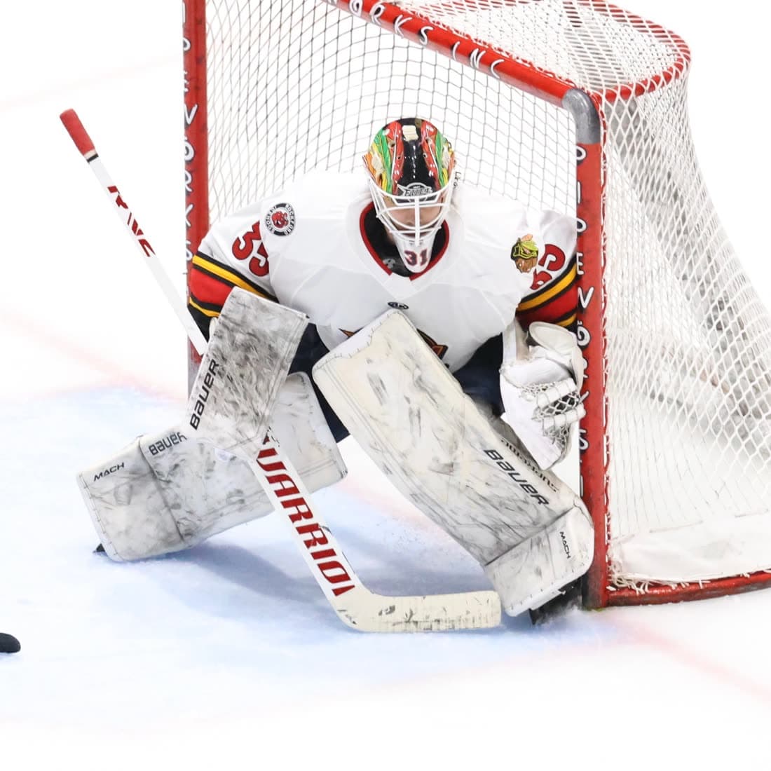 Cam Gray in the crease, professional.